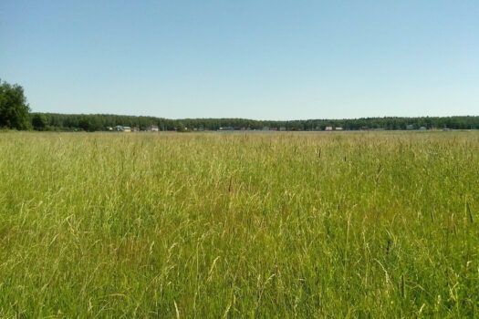 Замечательный участок на фиоленте